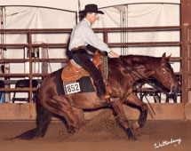 Doug Bogart Reining Horses