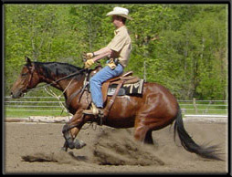 Doug Bogart Training