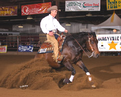 Doug Bogart & Rio