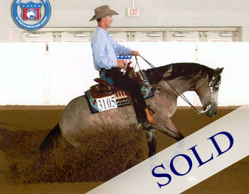 Hollywood Dun It Reining Mare For Sale