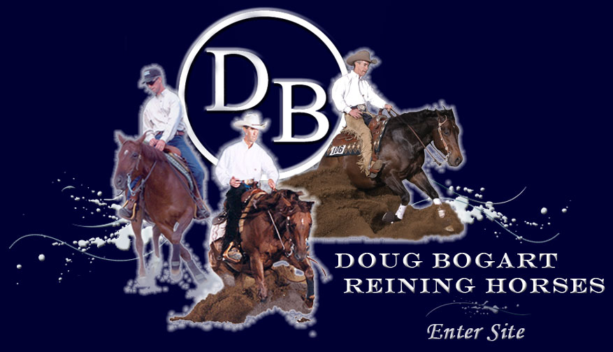 Doug Bogart Reining Horses