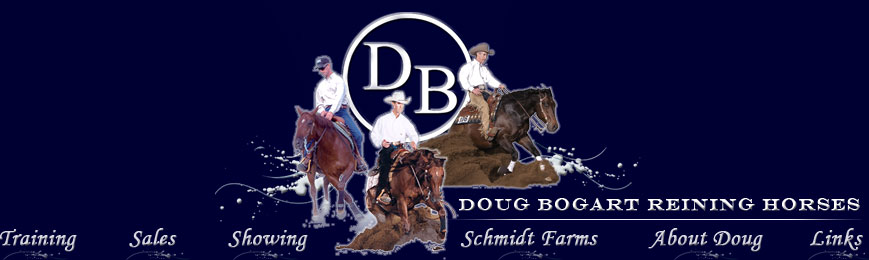 Doug Bogart Reining Hroses