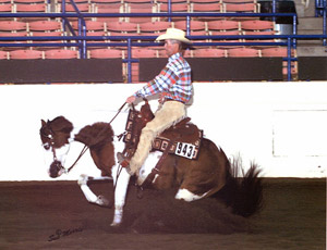 Doug Bogart & Forest on Fire